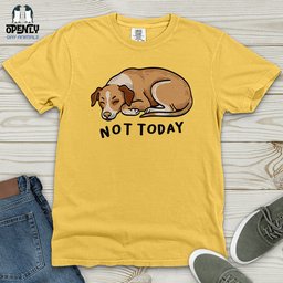 Not Today 02 Heavy Cotton Comfort Colors Tee Gift For Animal Lover