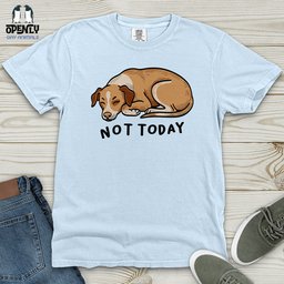 Not Today 02 Heavy Cotton Comfort Colors Tee Gift For Animal Lover