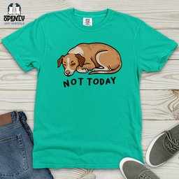 Not Today 02 Heavy Cotton Comfort Colors Tee Gift For Animal Lover