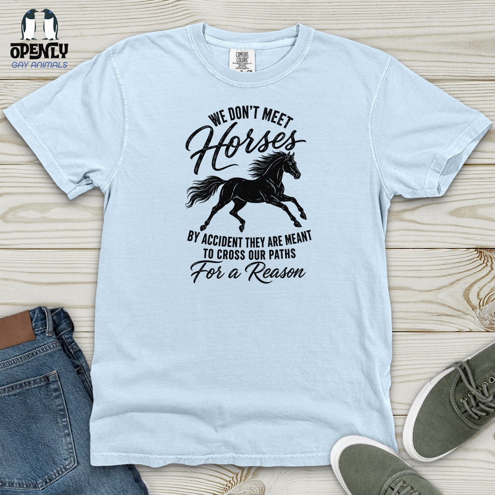We Dont Meet Heavy Cotton Comfort Colors Tee Gift For Animal Lover