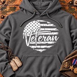 veteran-american-flag-22901 Hoodie-Grey.jpg