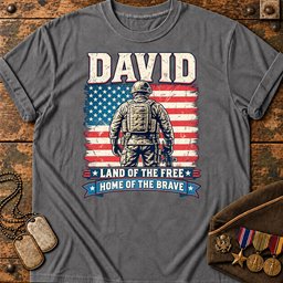 david-land-of-the-free-home-of-the-brave-22914 Grey.jpg