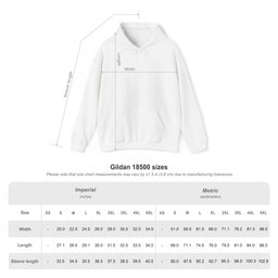 Body Chess BJJ Hoodie