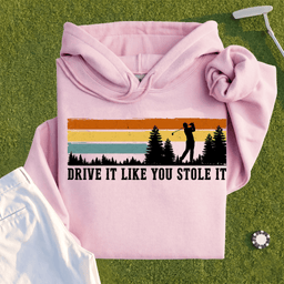 Drive It Like You Stole It Hoodie