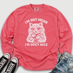 Spicy Nice Long Sleeve Tee