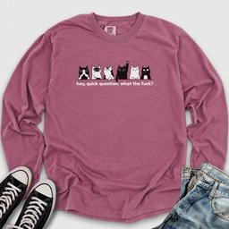 Hey Quick Question Long Sleeve Tee