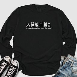Hey Quick Question Long Sleeve Tee