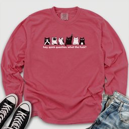 Hey Quick Question Long Sleeve Tee