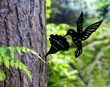 Hummingbird Tree Stake, Garden Decor, for plasma tree stake, bird laser cut , tree stake