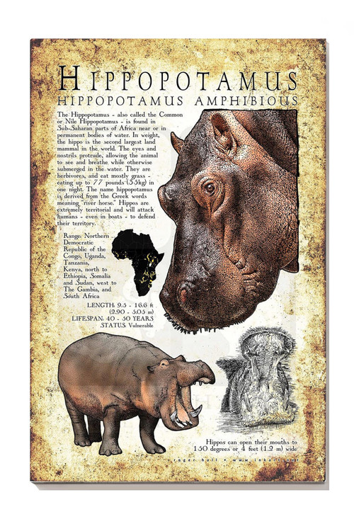 Hippopotamus Poster Print Animal Wall Art Gift For Scientist Zoologist Canvas Gallery Painting Wrapped Canvas Framed Gift Idea Framed Prints, Canvas Paintings