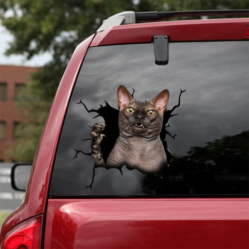 Sphynx Cat Crack Sticker Pack Lovely Circle Decal Stickers For Him, Carbon Fiber Sticker Wrap