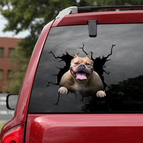 American Bully Crack Decal For Back Car Window Likeable Custom Sticker Maker Best Gifts For Men , Tata Nexon Stickering