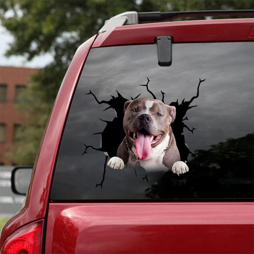 American Bully Crack Decal Items Cool Custom Wall Stickers Gifts For Cat Lovers, Safari Storme Sticker