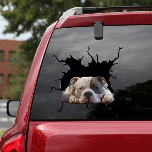 American Bully Crack Sticker Car Window Cool Vehicle Decals , Kdm Car Stickers