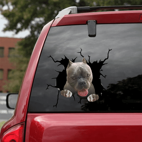 American Bully Crack Door Decal Kawaii Fun Stickers White Elephant Gift, I Hope Something Good Happens To You Today Bumper Sticker