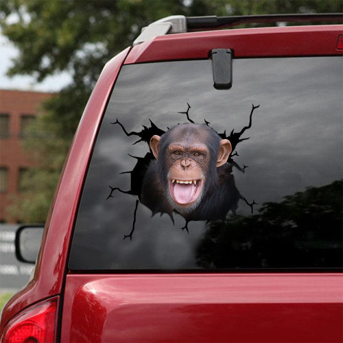 Chimpanzee Crack Duck Decal Likeable Vinyl Stickers For Cars , Custom Windshield Decal Maker