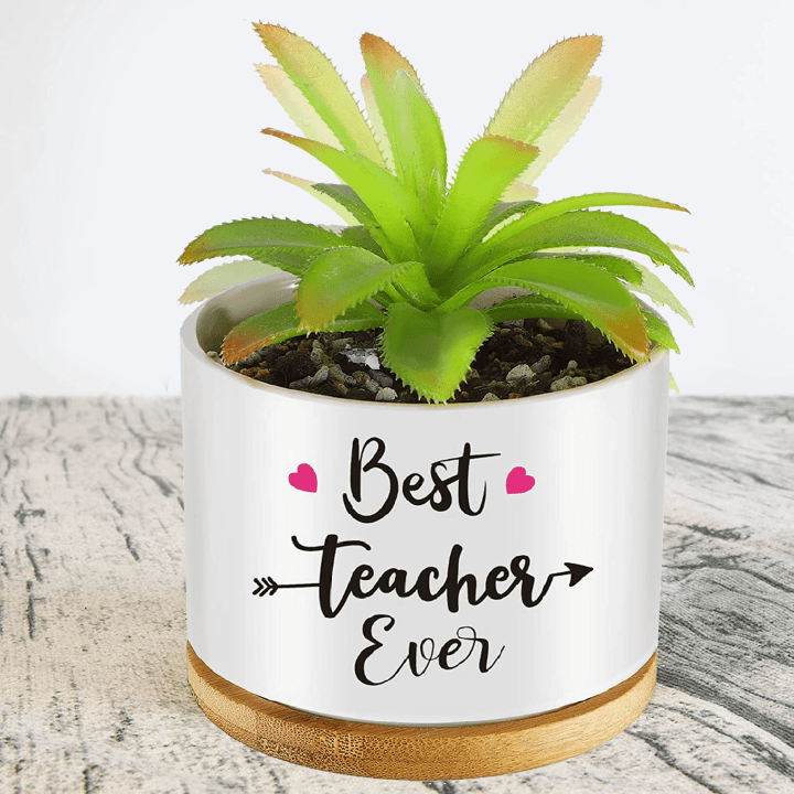 Best Teacher Ever Plant Pot, Plant Pot To Decorate The Desk, Window Decor Plant Pot, Plant Pot for Teacher Appreciation Gift