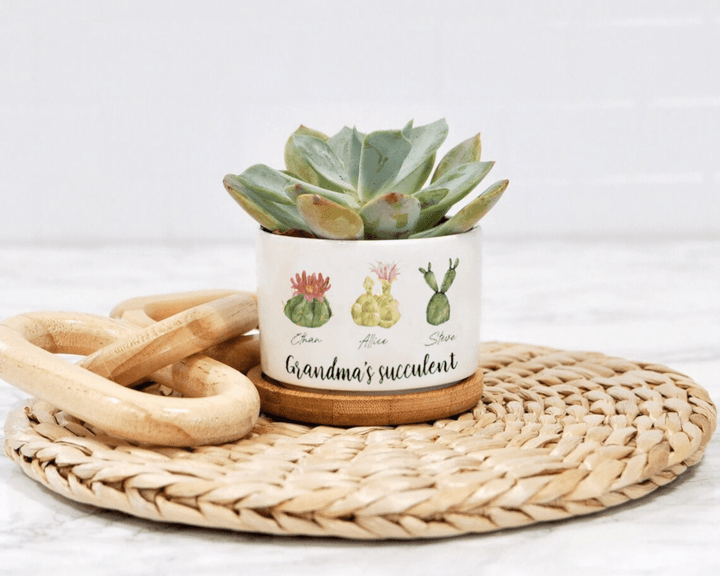 Personalized Name Succulent Plant Pot, Custom Grandma Succulent Pot, Outdoor Pot With Month Succulent, Birthday Gift, Mothers Day Gift