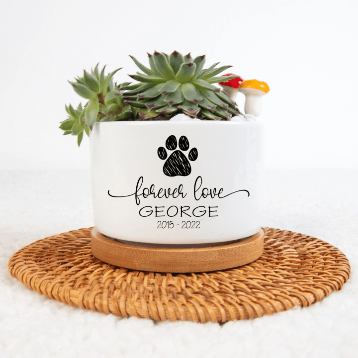 Personalized Pet Memorial Plant Pot, Dog Cat Succulent Pot, Flower Pot for Pet Owners, Mini Plant Pot for Pet Loss, Pet Pot Sympathy Gift