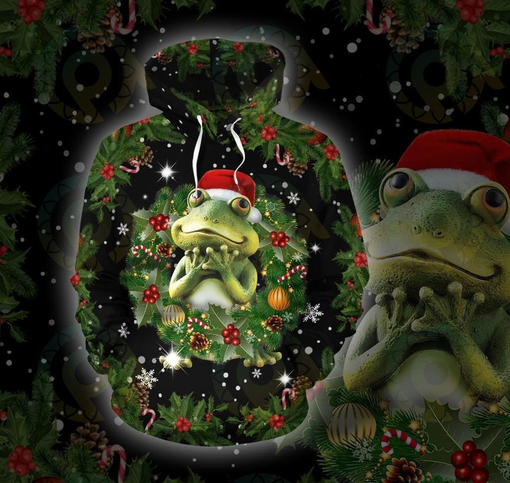 Frog - Christmas Hoodie 10-T