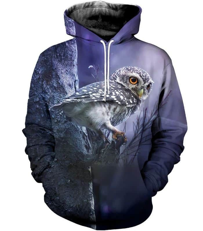 Owl Owl The Time Unisex 3D Hoodie All Over Print Kmanr