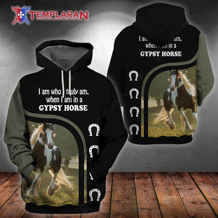 Gypsy Horse Unisex Hoodie Bt02