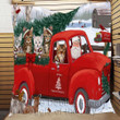 Bengal Cat Red Truck Christmas Quilt Cignz