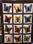 Butterfly Quilt Cihsz
