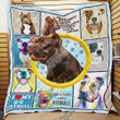 Life Is Better With A Pitbull Quilt Np354