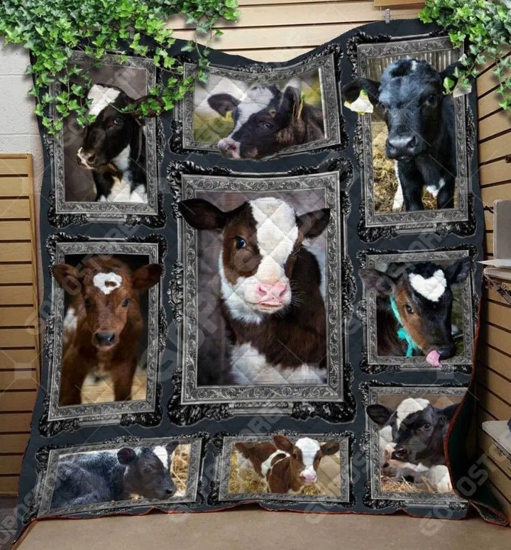 Baby Cows Quilt Curxc