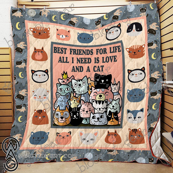 Best Friends For Life All I Need Is Love And A Cat Quilt