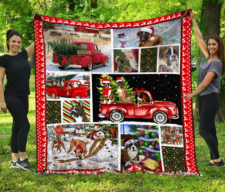 Mp2510 Boxer Boxer In Christmas Quilt Dhc16124324Dd