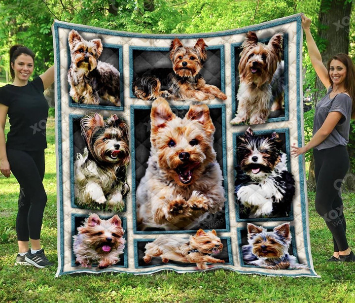 Mp1709 Yorkshire Terrier Look At Me Quilt Dhc16123224Dd