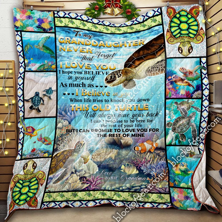 To My Granddaughter, This Old Turtle Will Always Have Your Back Quilt