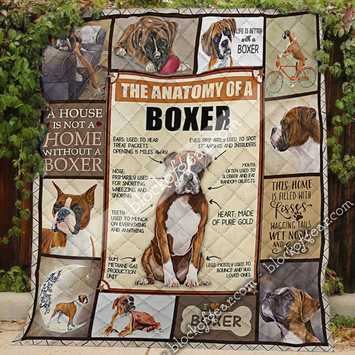 The Anatomy Of A Boxer Quilt