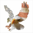 Metal Eagle Imagery Sign Metal Sign Home And Living Decor