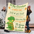 Dinosaur Lovers Gs-Cl-Dt0903 Fleece Blanket