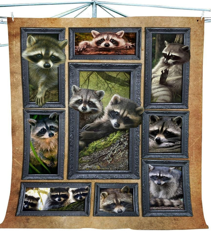 Beauty Raccoon 3D Fleece Blanket - Quilt Blanket