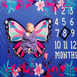 Beauty Butterfly Baby Monthly Milestone Blanket, 40�47 Inches