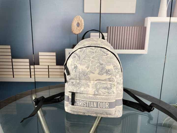 Christian Dior Travel Backpack Toile De Jouy Reverse Technical Fabric In Light Gray