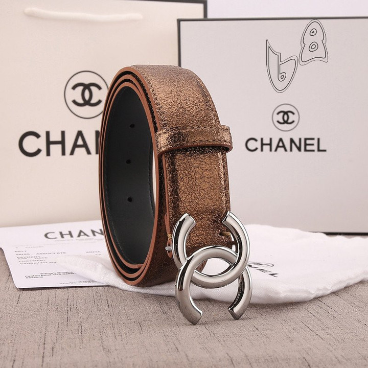 Chanel Logo CC Belt In Brown And Silver