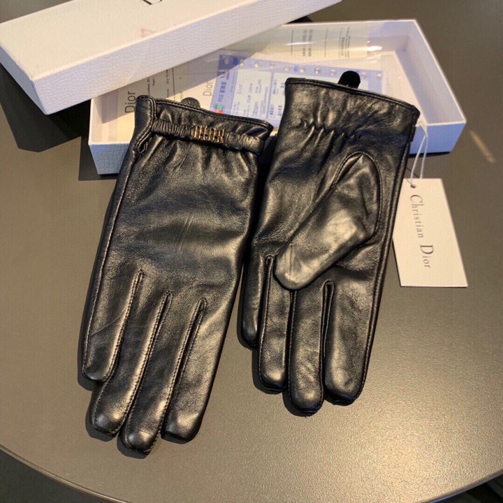 Dior Lettering Iconic Metal Calfskin Leather Gloves