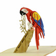 Parrot 3D Pop Up Greeting Card Scarlet Macaw Bird