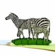 zebra pop up 3d card