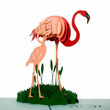 flamingo 3d pop up card