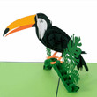 toucan bird 3d pop up greeting card