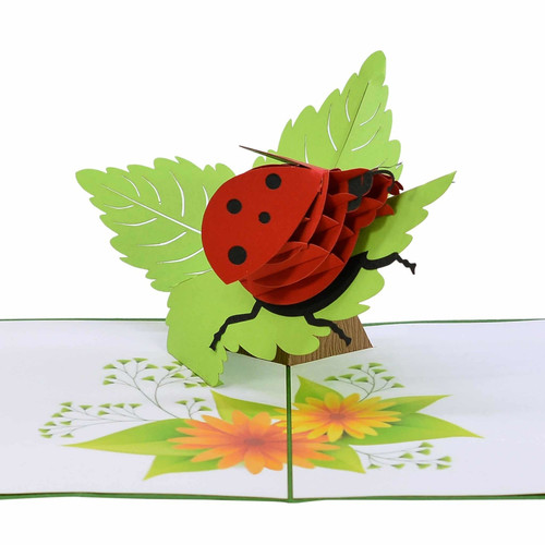 Ladybug 3D Pop Up Card