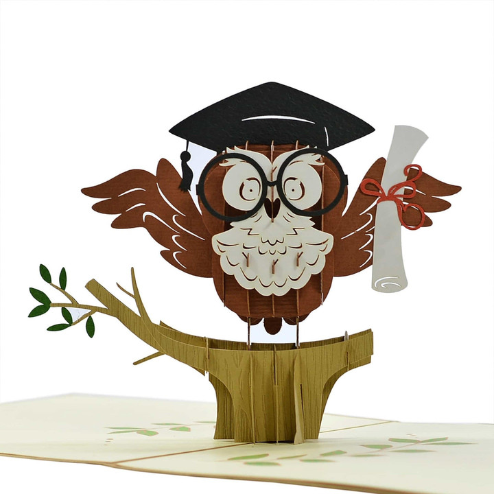 graduation owl pop up greeting congratulations card