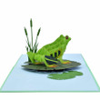 Frog 3D Pop Up Card