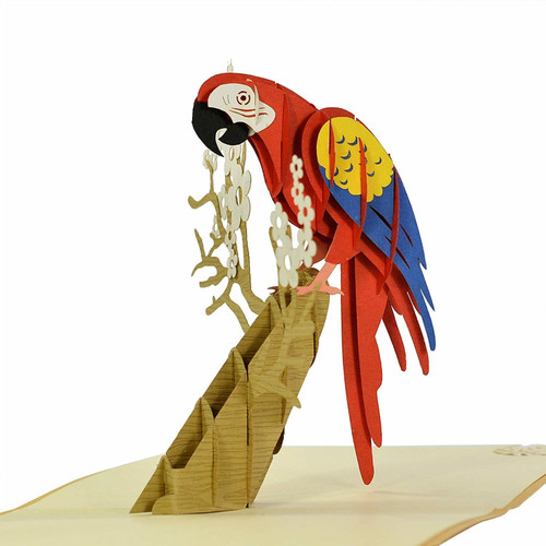 Parrot 3D Pop Up Card (Scarlet Macaw)